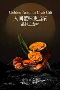 广告4